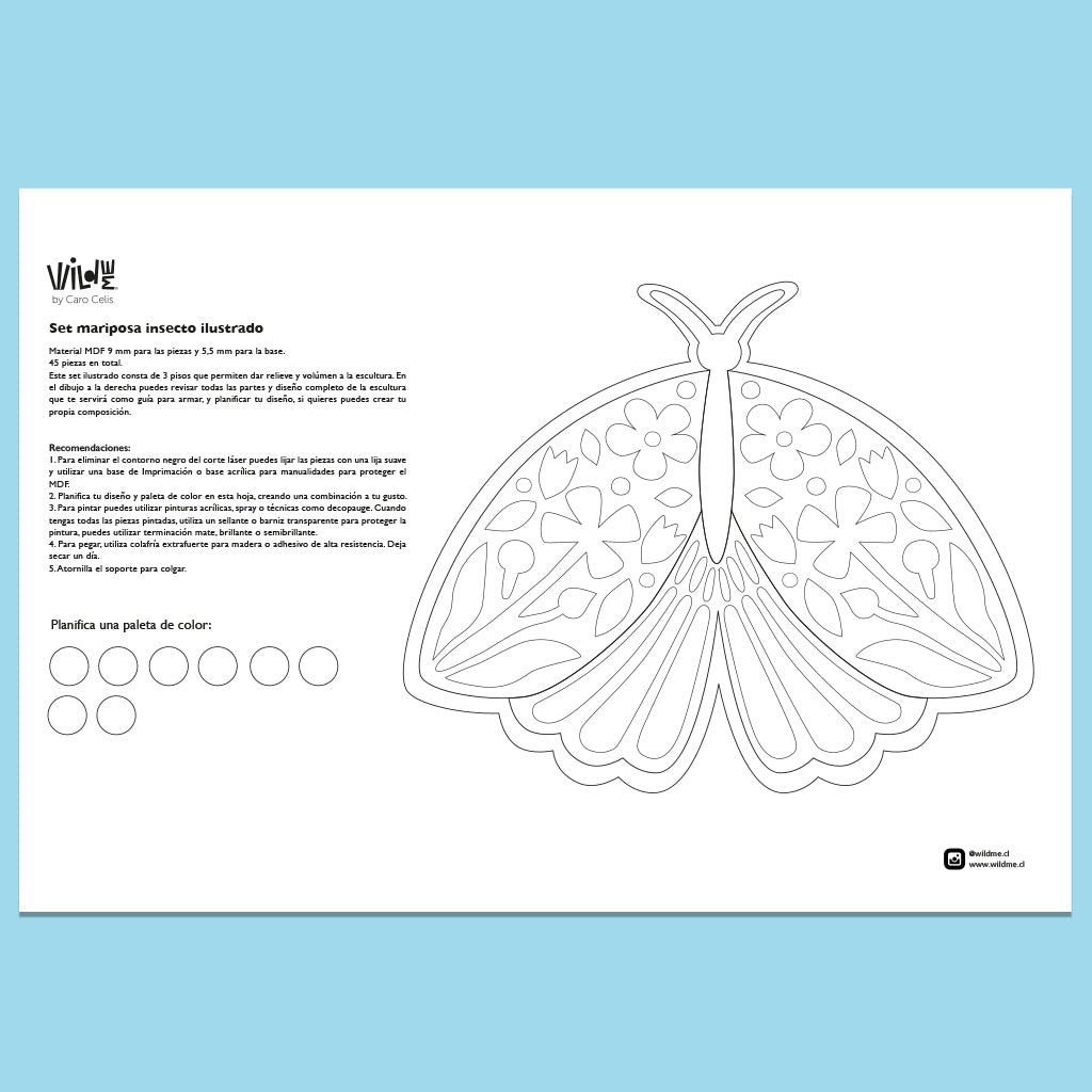 Set Mariposa insecto MDF