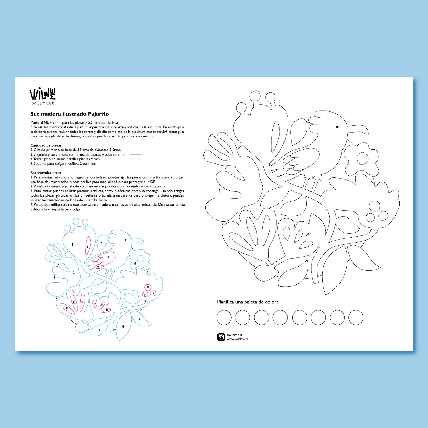 Set Pajarito MDF para pintar