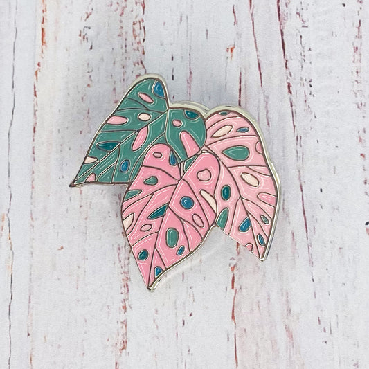 Pin Caladium spring fling